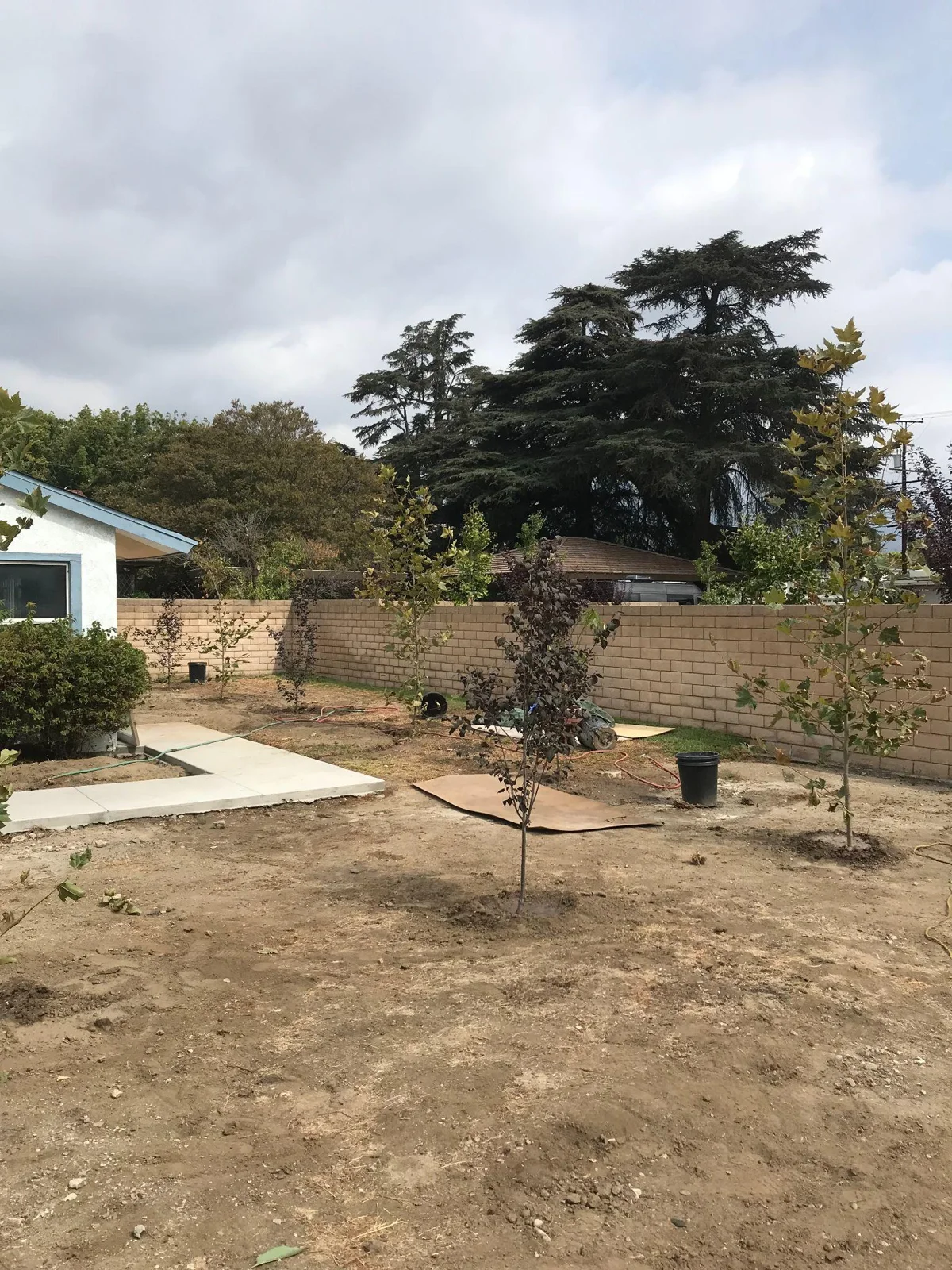 Garden and soil before landscape installation